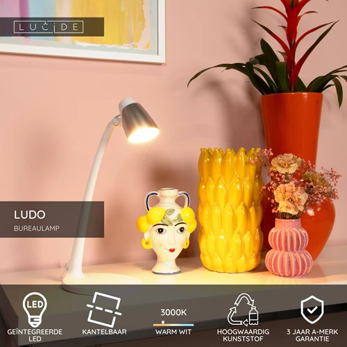 Lucide LUDO - Bureaulamp - LED - 1x4,5W 3000K - Wit - USP